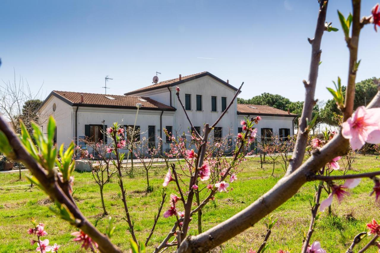 Agriturismo Ca' Baccan Cavallino-Treporti Kültér fotó