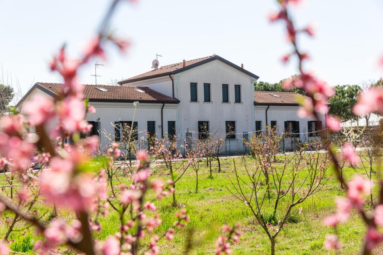 Agriturismo Ca' Baccan Cavallino-Treporti Kültér fotó